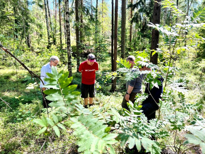 From Helsinki: Hike and Sauna in Sipoonkorpi National Park - Sipoonkorpi National Park, the “out of Helsinki” feeling