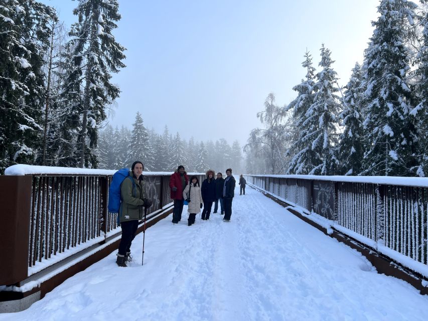 From Helsinki: Hike and Sauna in Sipoonkorpi National Park - Finnish smoke sauna and löyly, then the cold lake swim