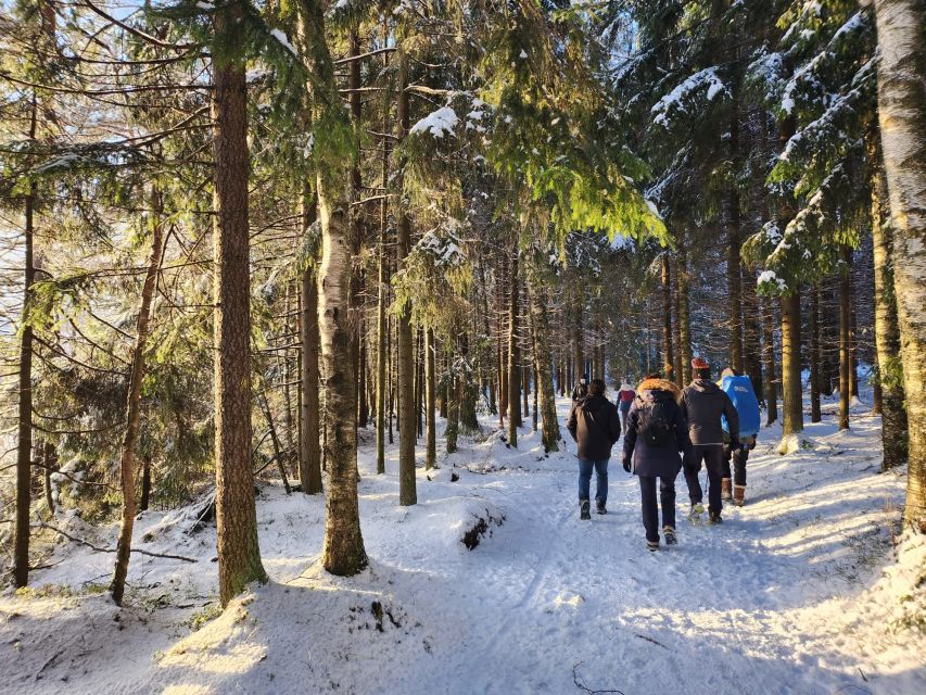 From Helsinki: Hike and Sauna in Sipoonkorpi National Park - Price and value around $194: what you are really paying for