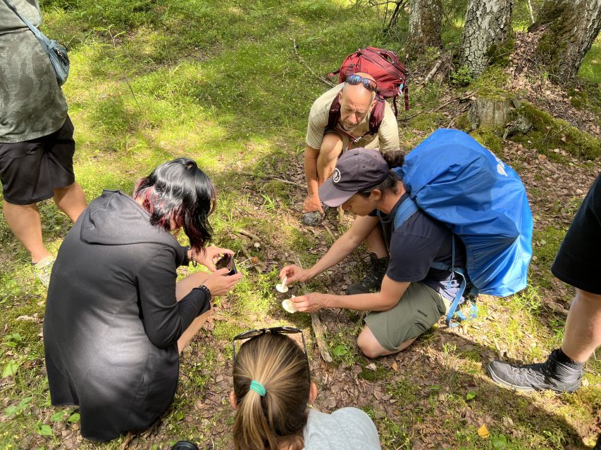 From Helsinki: Hike and Sauna in Sipoonkorpi National Park - Who this tour suits best (and who should skip it)