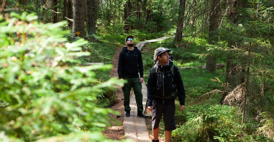 From Helsinki: Magical Taiga Hike in Liesjärvi National Park - Should you book Magical Taiga Hike in Liesjärvi National Park?