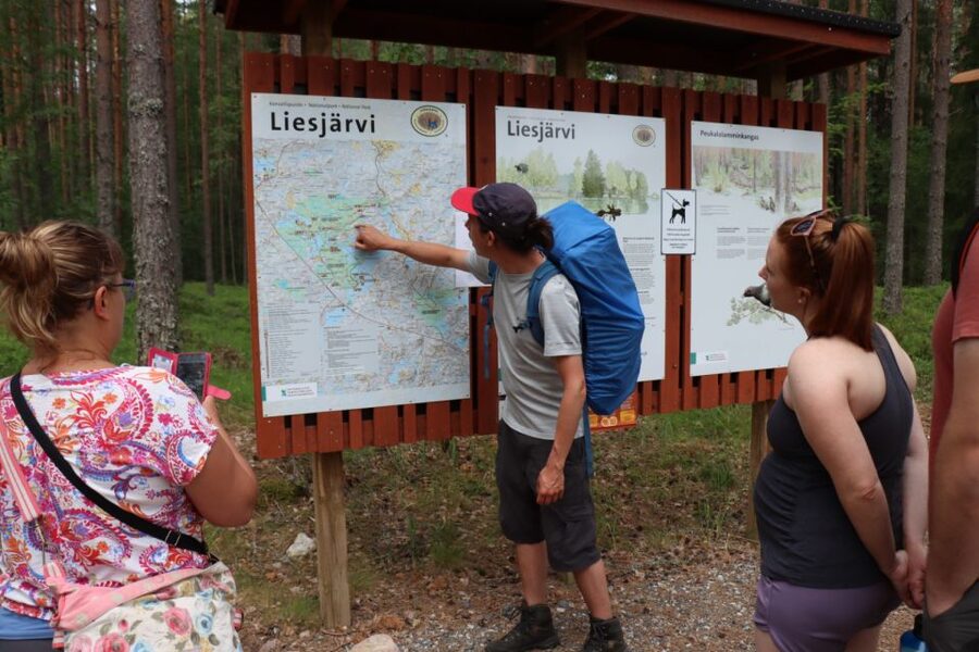 From Helsinki: Magical Taiga Hike in Liesjärvi National Park - Getting from Helsinki to Liesjärvi: the comfortable ride out of town