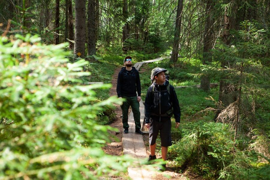 From Helsinki: Magical Taiga Hike in Liesjärvi National Park - The lunch stop by the lake: why Finnish food tastes better outside