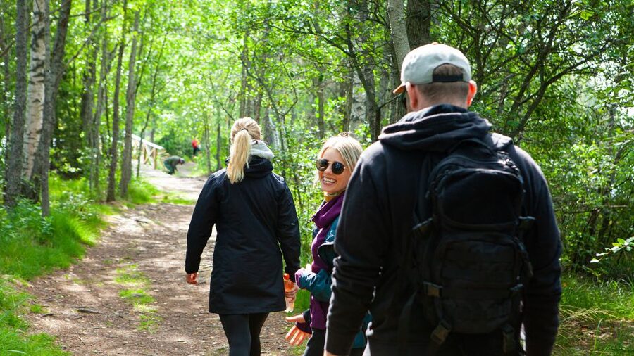 From Helsinki: Magical Taiga Hike in Liesjärvi National Park - Entering the Taiga: the first 2 hours of guided forest magic