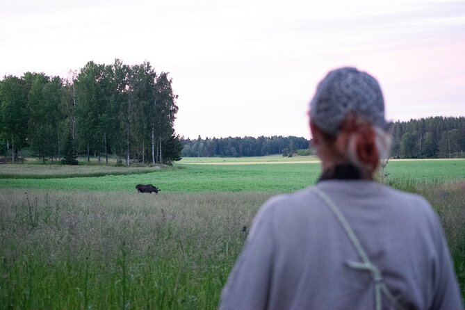 From Helsinki: Moose Safari with Campfire Dinner - Campfire dinner: Finnish snacks and berry juice that warm you up