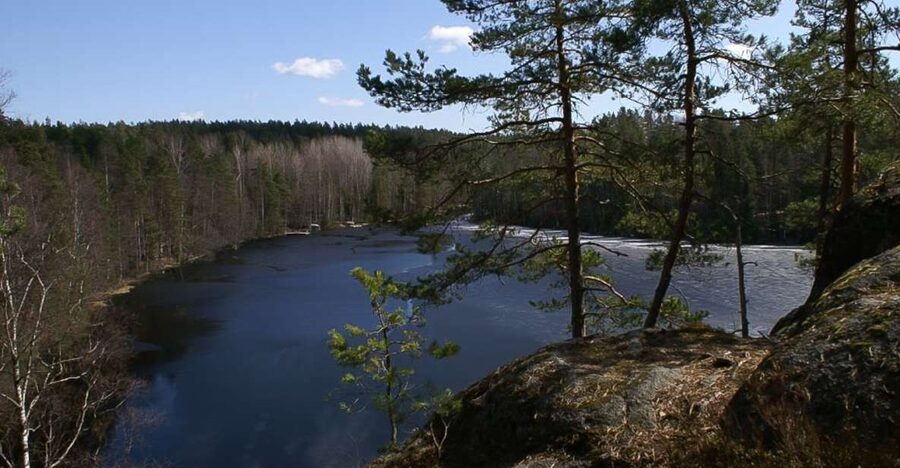 From Helsinki: Nuuksio National Park Half-Day Trip - Getting There Like a Local, Not a Stress Test