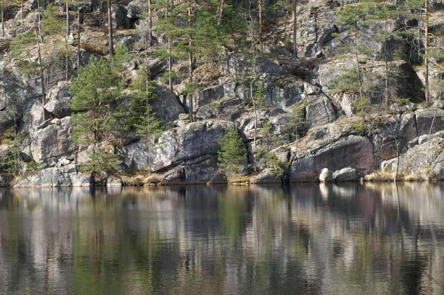 From Helsinki: Nuuksio National Park Half-Day Trip - Pace and Fitness: Easy Walks for Some, Stairs for Others