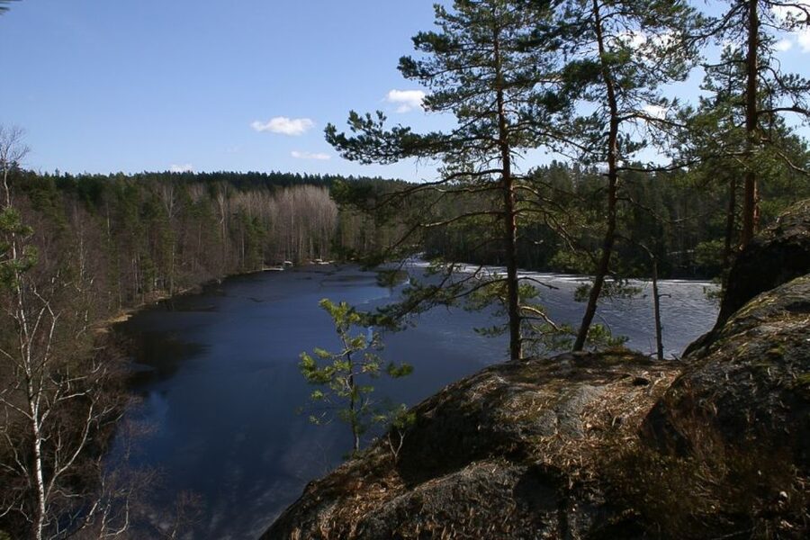 From Helsinki: Nuuksio National Park Half-Day Trip - The Park Entrance Day Moves Fast, but You Are Not Rushed