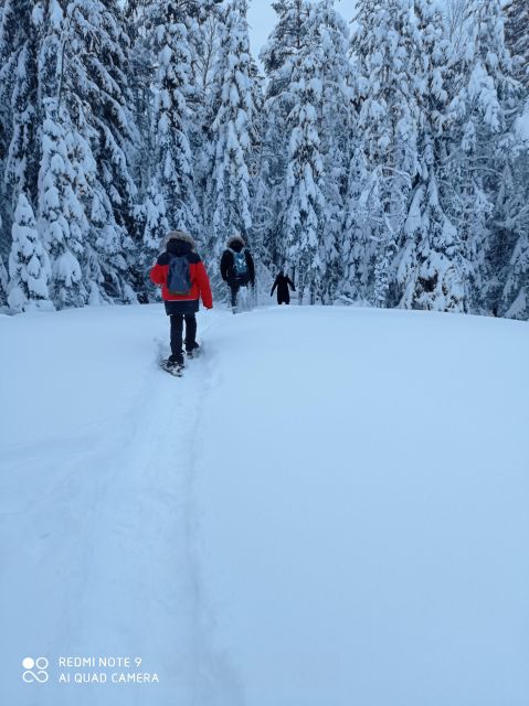 From Helsinki: Nuuksio National Park Hiking Tour with Food - The glögi stop in winter, and the warm break that keeps you going