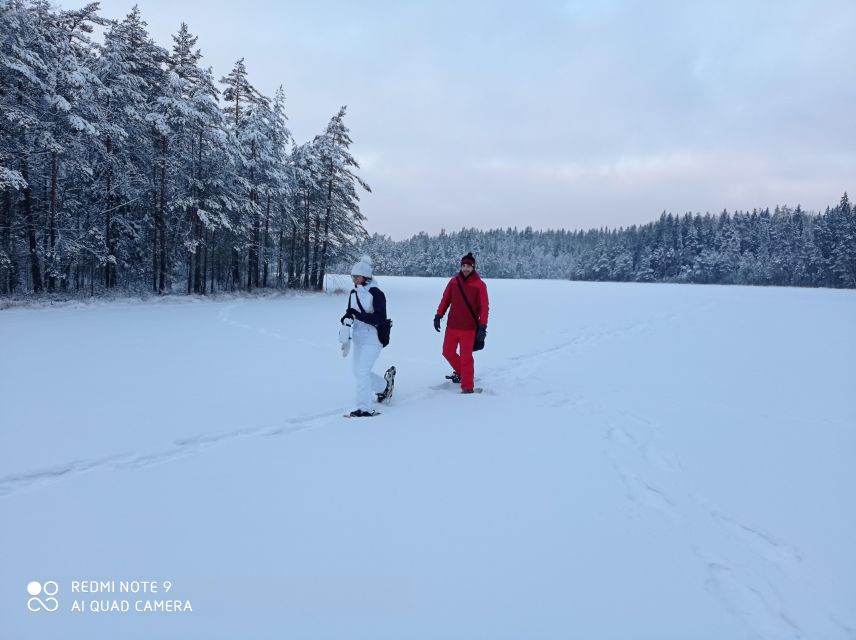 From Helsinki: Nuuksio National Park Hiking Tour with Food - Getting there: Museokatu meeting point and a smooth van ride