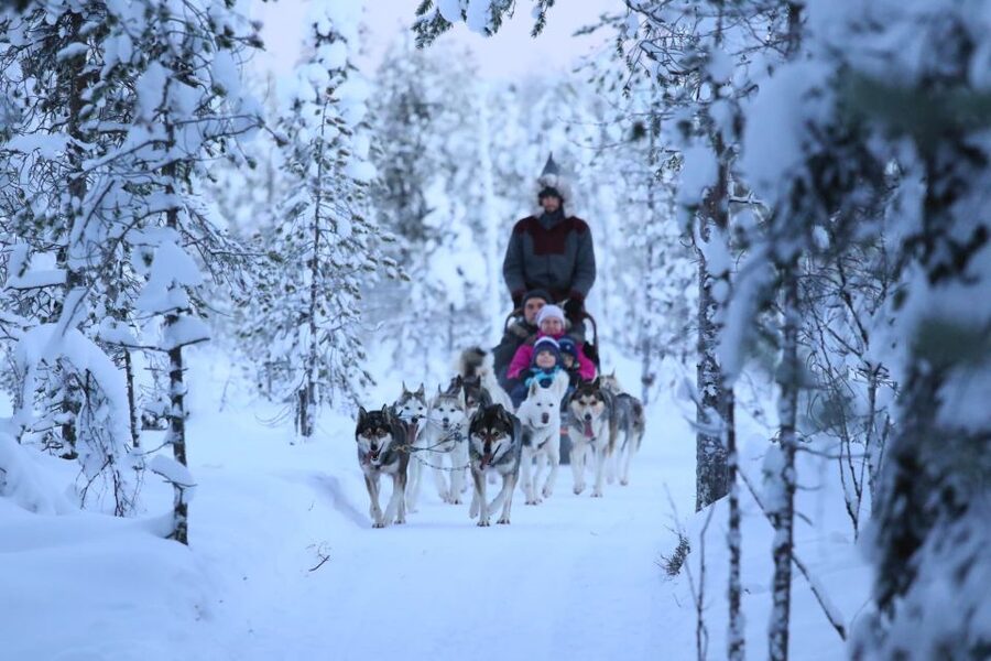 From Rovaniemi: 5km passenger Husky Sleigh Ride - Why a 5 km passenger husky ride feels fast, even when you are just riding