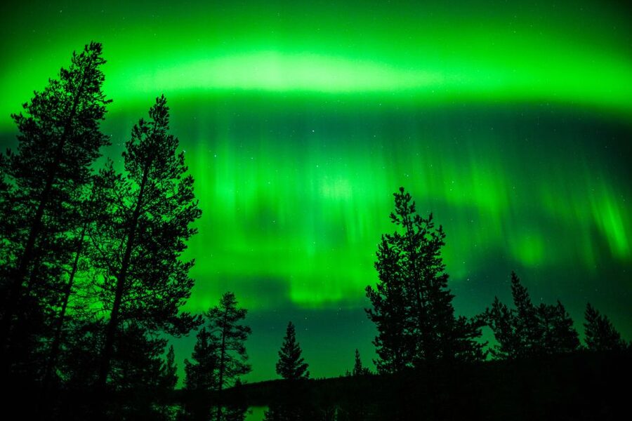 From Rovaniemi: Family-Friendly Northern Lights Tour - Price and value: what $123 buys you (and what to plan for)