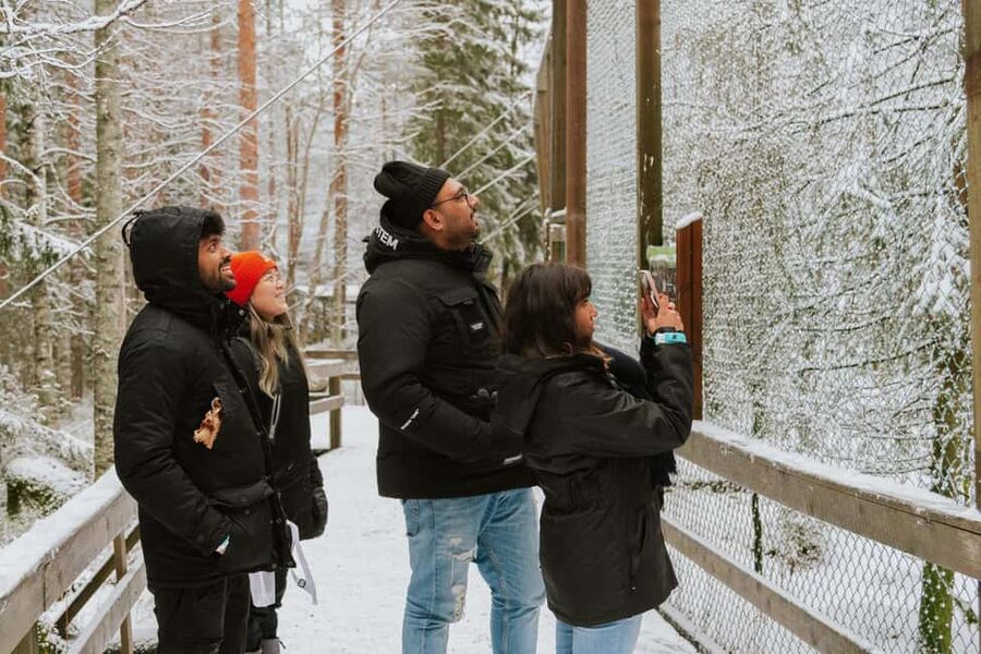 From Rovaniemi: Family Friendly Visit to Ranua Wildlife Park - Key highlights you’ll feel right away