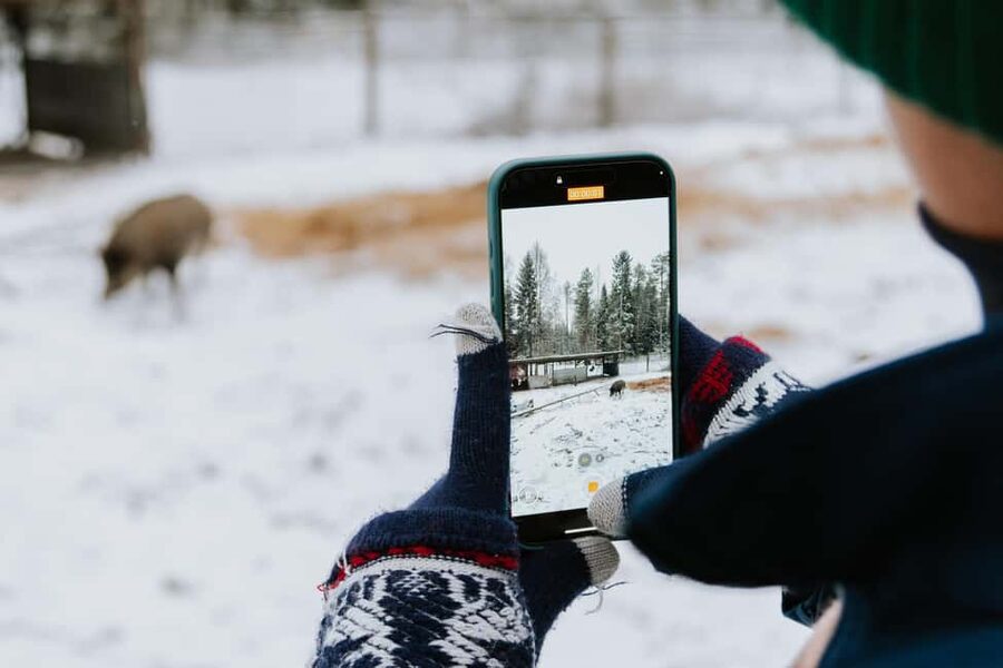 From Rovaniemi: Family Friendly Visit to Ranua Wildlife Park - A short Arctic day trip from Rovaniemi