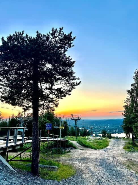 From Rovaniemi: Full-Day Tour to Lapland's Best Attractions - Ranua Wildlife Park, where you see Arctic animals in their forest world