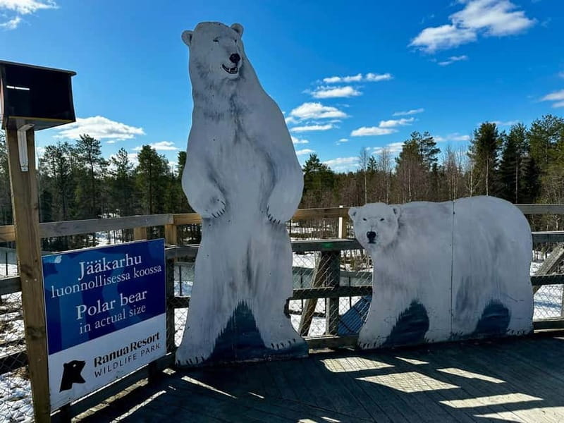 From Rovaniemi: Full-Day Tour to Lapland's Best Attractions - Midnight Sun from the hilltop viewpoint, how to finish strong