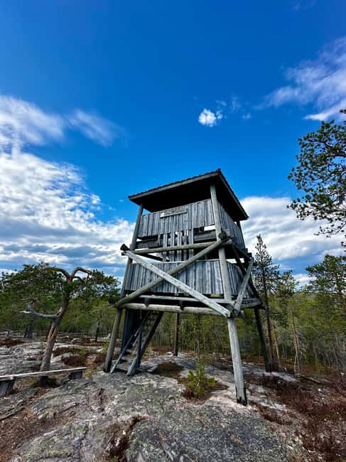 From Rovaniemi: Full-Day Tour to Lapland's Best Attractions - Value and price: what you’re really paying for