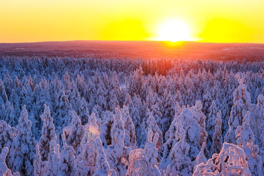 From Rovaniemi: Guided Lapland Snowmobile Adventure - Entering the Arctic with a small-group feel from Rovaniemi