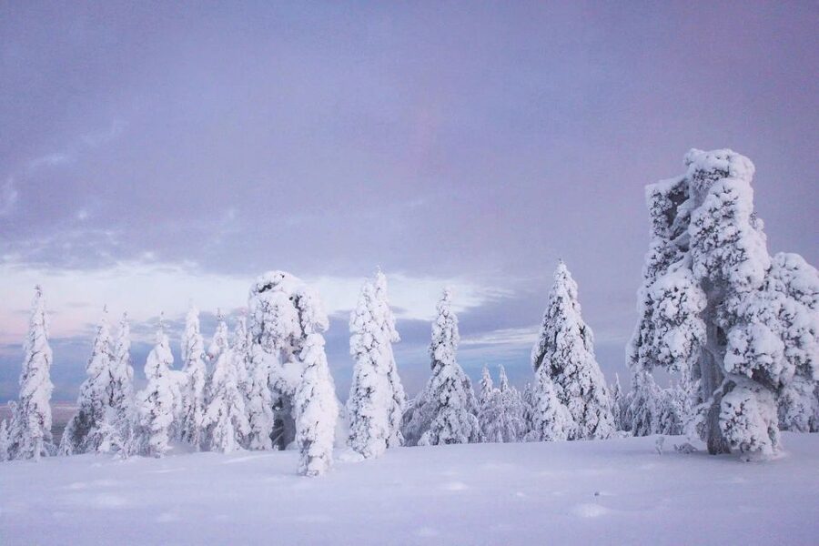 From Rovaniemi: Guided Lapland Snowmobile Adventure - Guides who keep you safe and keep the energy up