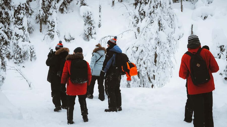 From Rovaniemi: Korouoma & Auttiköngäs Frozen Waterfalls - Price and value: why this one is not cheap