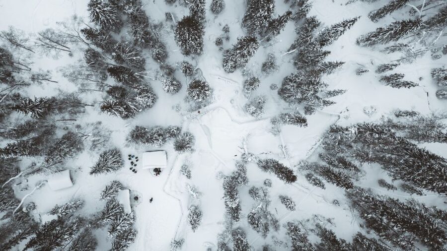 From Rovaniemi: Korouoma Canyon and Frozen Waterfalls Tour - Key Highlights