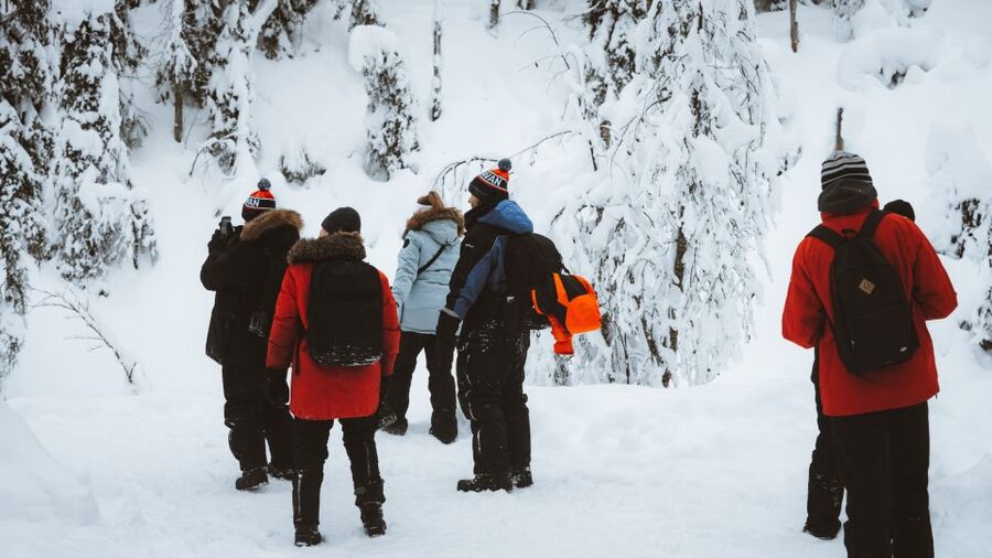 From Rovaniemi: Korouoma Canyon and Frozen Waterfalls Tour - Who should book, and who should skip it