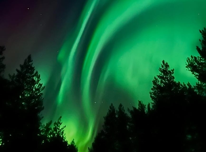 From Rovaniemi: Lapland Aurora Hunt with Barbeque - Rovaniemi After Dark, Why This Aurora Hunt Is Built Smart