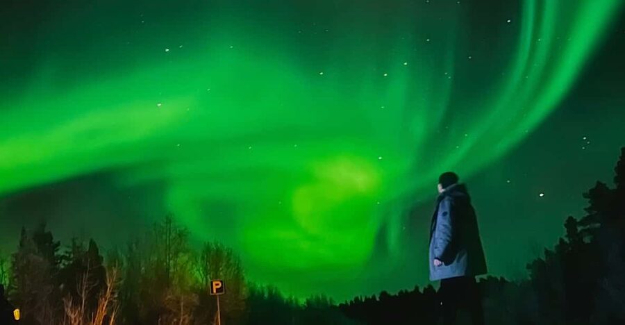 From Rovaniemi: Lapland Aurora Hunt with Barbeque - From Your Address to Secret Photo Stops: The 3-Hour Flow