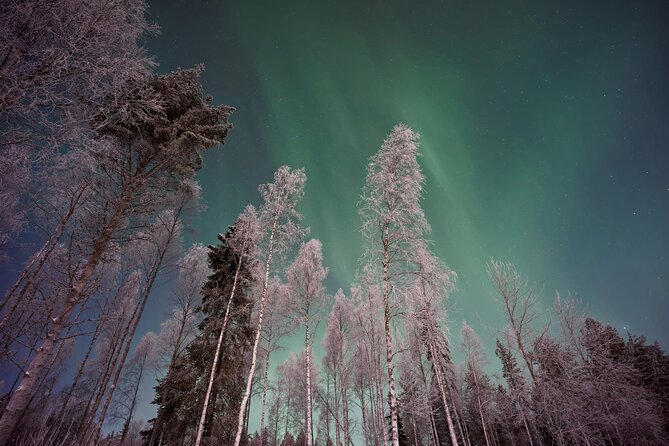 From Rovaniemi: Northern Lights Tour with Campfire Snacks - How this 3-hour Aurora Hunt actually plays out