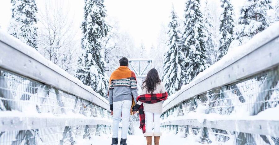 From Rovaniemi: Private Photoshoot in the Lappish Wilderness - Key Highlights to Know Before You Go