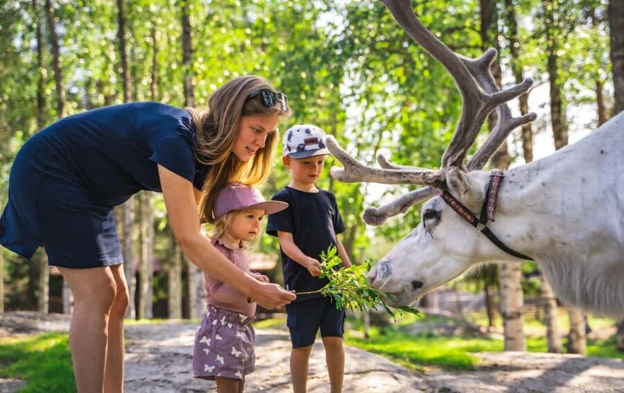From Rovaniemi: Reindeer Farm Visit with Sleigh Ride - Who This Tour Suits Best (And Who Should Look Elsewhere)