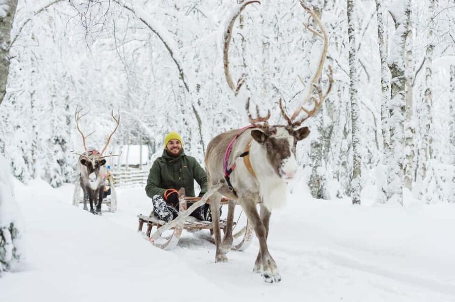 From Rovaniemi: Reindeer Farm Visit with Sleigh Ride - The Sámi Culture Part: Why It Feels More Than a Photo Stop