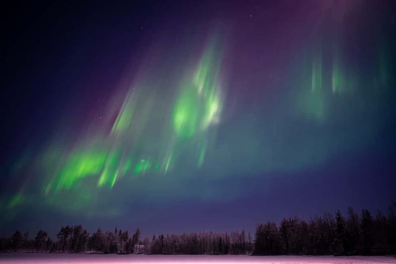From Rovaniemi: Short Aurora Borealis Photography Expedition - Language notes: how to get the guide you want