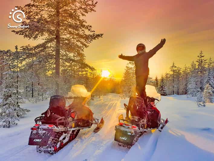 From Rovaniemi: Snowmobile Safari into Arctic Wilderness - Key Highlights To Know Before You Go