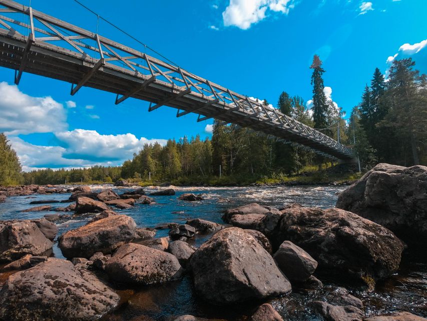 From Rovaniemi: Vikaköngäs Forest Hiking Tour - Key things to know before you go