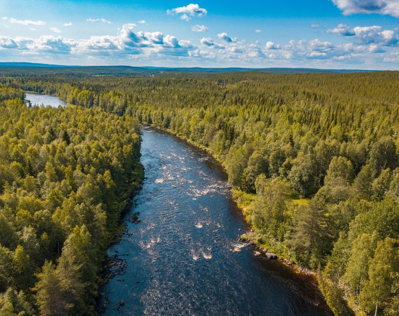 From Rovaniemi: Vikaköngäs Forest Hiking Tour - Review patterns that matter for your decision