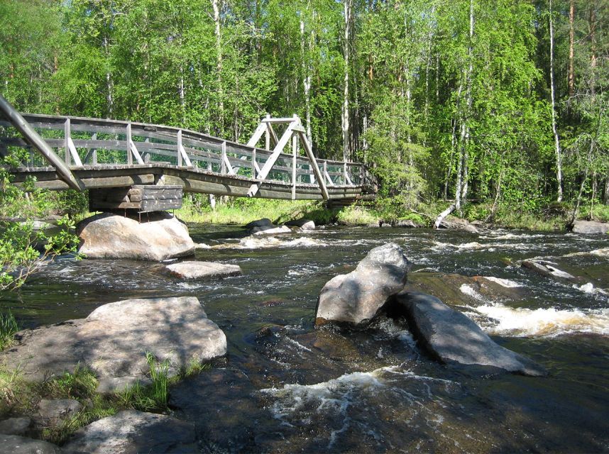 From Rovaniemi: Vikaköngäs Forest Hiking Tour - The hike route feel: short distances, real nature
