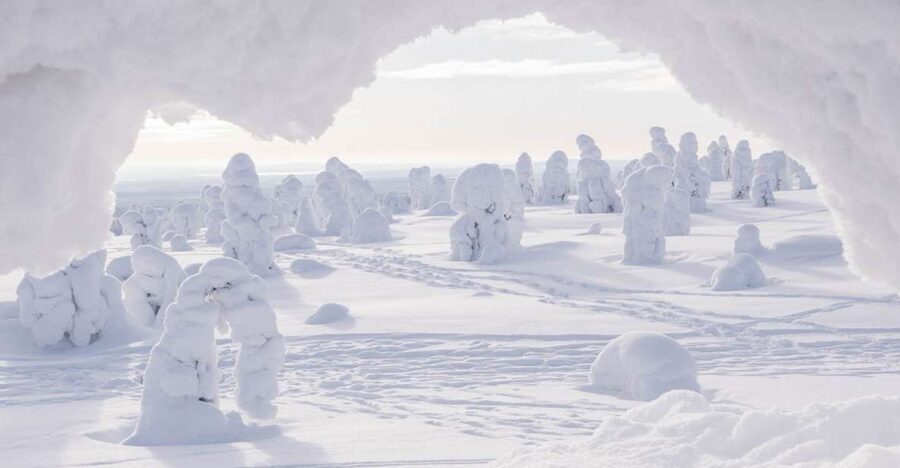 From Rovaniemi: Winter Wonderland Hike with a Hot Drink - Key Points to Know Before You Go