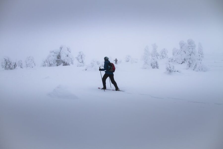 From Rovaniemi: Winter Wonderland Hike with a Hot Drink - The 6 Hours, Start to Finish (and What Each Part Is For)