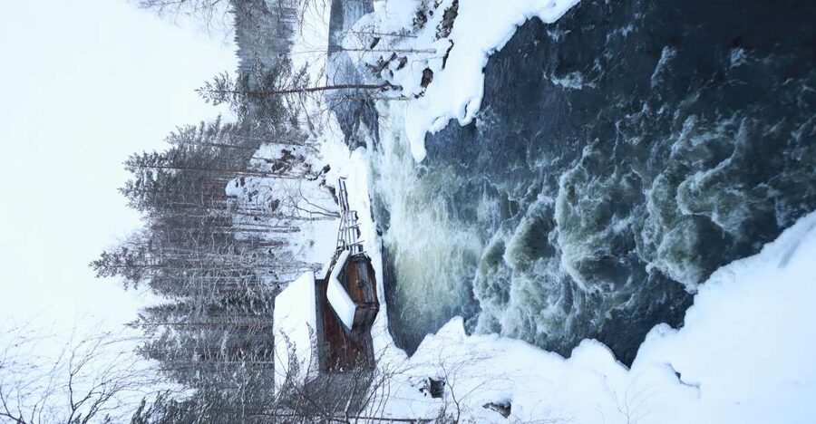 From Ruka: Snowshoeing in Oulanka National Park - Key highlights you should care about