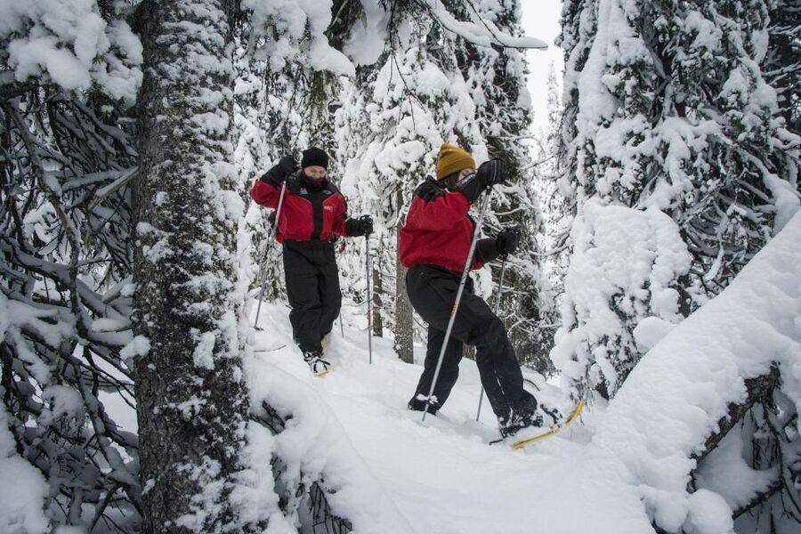 From Ruka: Snowshoeing in Oulanka National Park - Snowshoeing about 4-5 km: the pace of a 3.5-hour hike