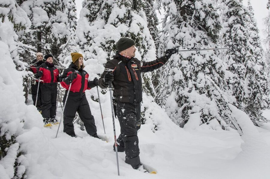 From Ruka: Snowshoeing in Oulanka National Park - Price and value: what $140 gets you in snowshoeing time and expertise