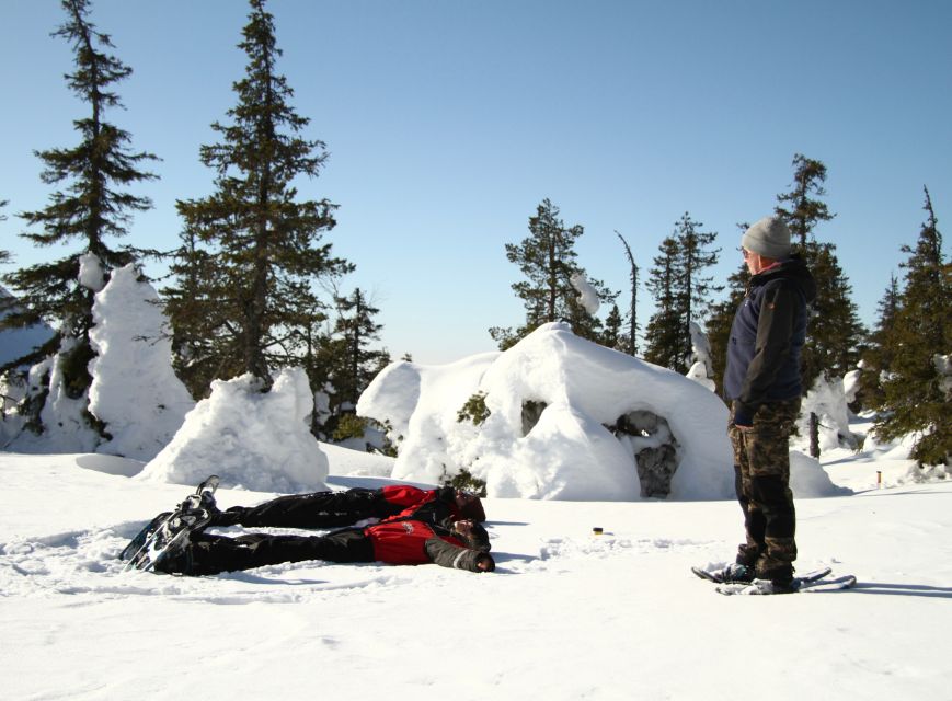 From Ruka: Snowshoeing in Riisitunturi National park - Key takeaways before you lace up