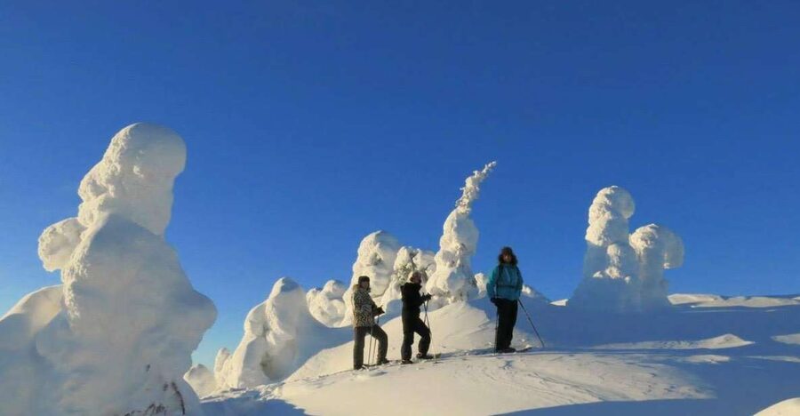 From Ruka: Snowshoeing in Riisitunturi National park - Riisitunturi snowshoes: what makes the views worth it