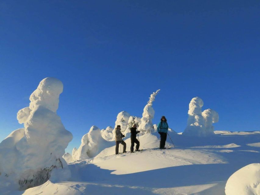 From Ruka: Snowshoeing in Riisitunturi National park - Into the snow-covered forest, then up onto the fell