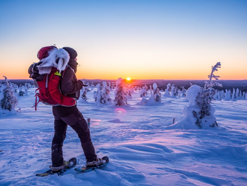 From Ruka: Snowshoeing in Riisitunturi National park - Should you book this Riisitunturi snowshoe tour?