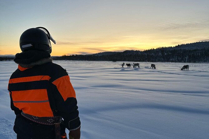 From Saariselkä: Ice Fishing Tour to Lake Inari, reindeers &lunch - Reindeer feeding: a bonus moment that feels grounded
