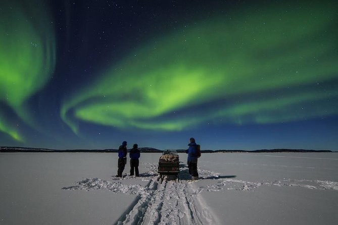 From Saariselkä: Northern lights tour to Lake Inari, incl. dinner - Key highlights that make this tour work