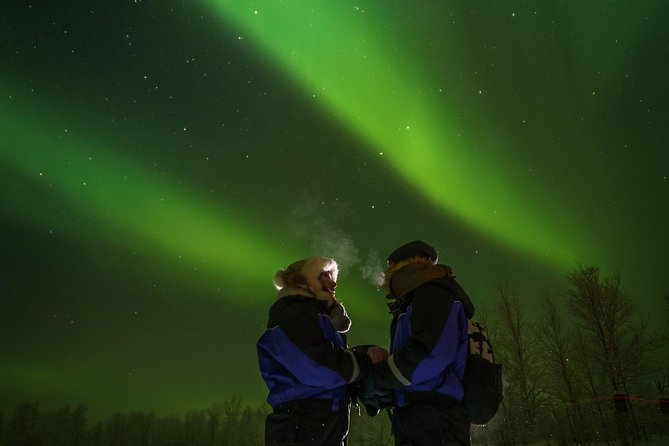 From Saariselkä: Northern lights tour to Lake Inari, incl. dinner - What you eat, from sausages to blueberry dessert