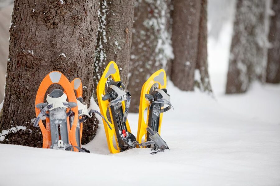 From Sirkka: Levi Summit Guided Nature Snowshoeing Tour - Price and value for a 2-hour guided nature walk